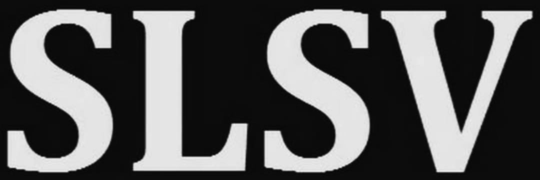 SLSV - A global media, Research and Consultancy Network - Sustainability Solutions Network logo