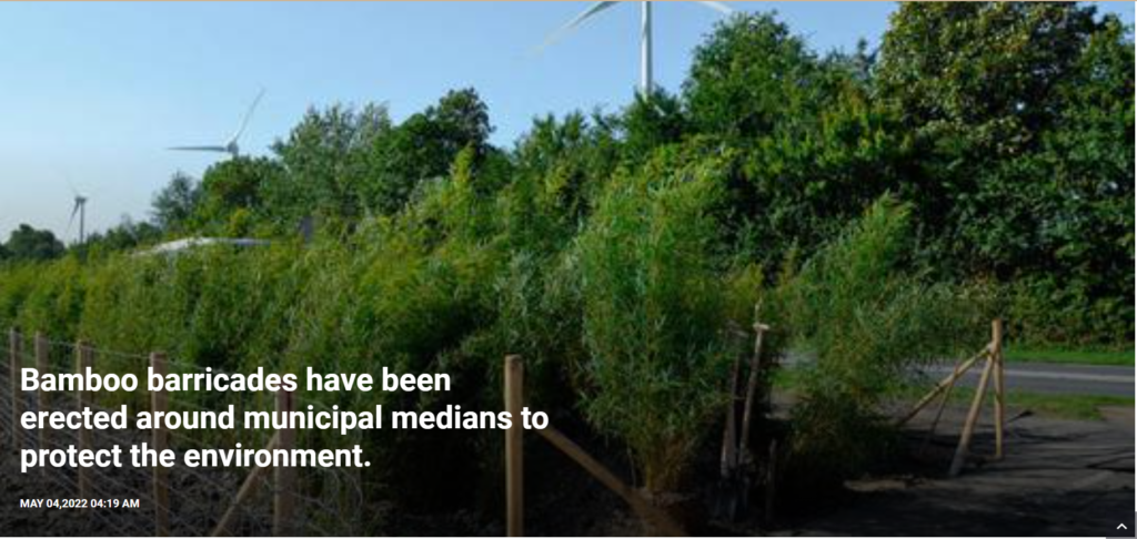 Bamboo barricades have been erected around municipal medians to protect the environment.