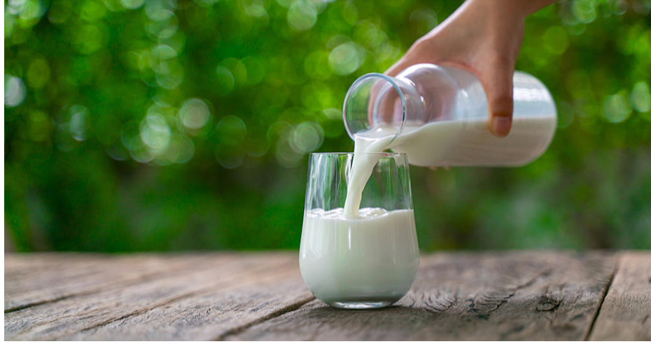 Plant based milk
