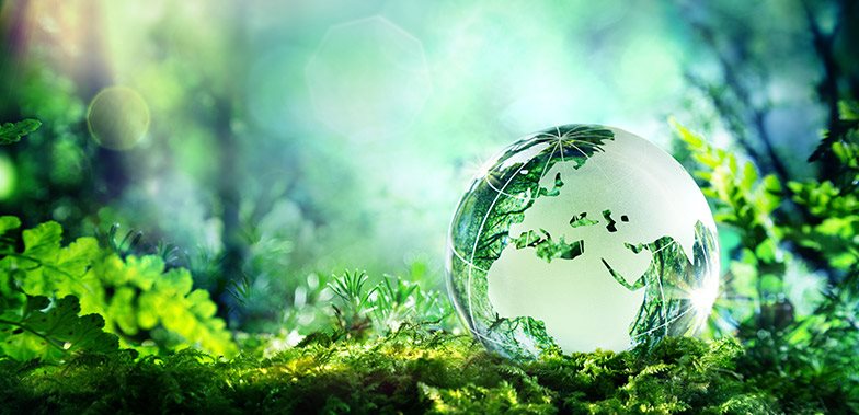 Learn How Sustainability Helps Life Sciences Companies Grow