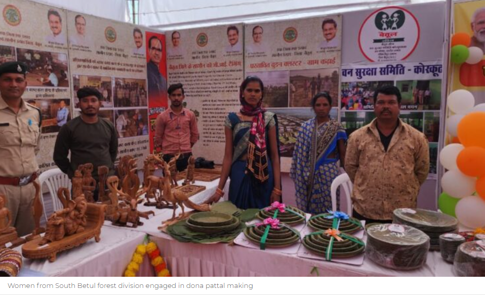 How Labourers Turned Entrepreneurs and Gave Birth to ‘Betul Greens’ in MP